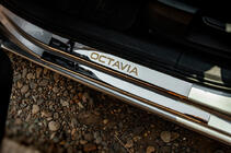 Skoda Octavia III A7 2013–2019 Carmos V1 dorpellijsten (8 stuks, RVS) foto 1