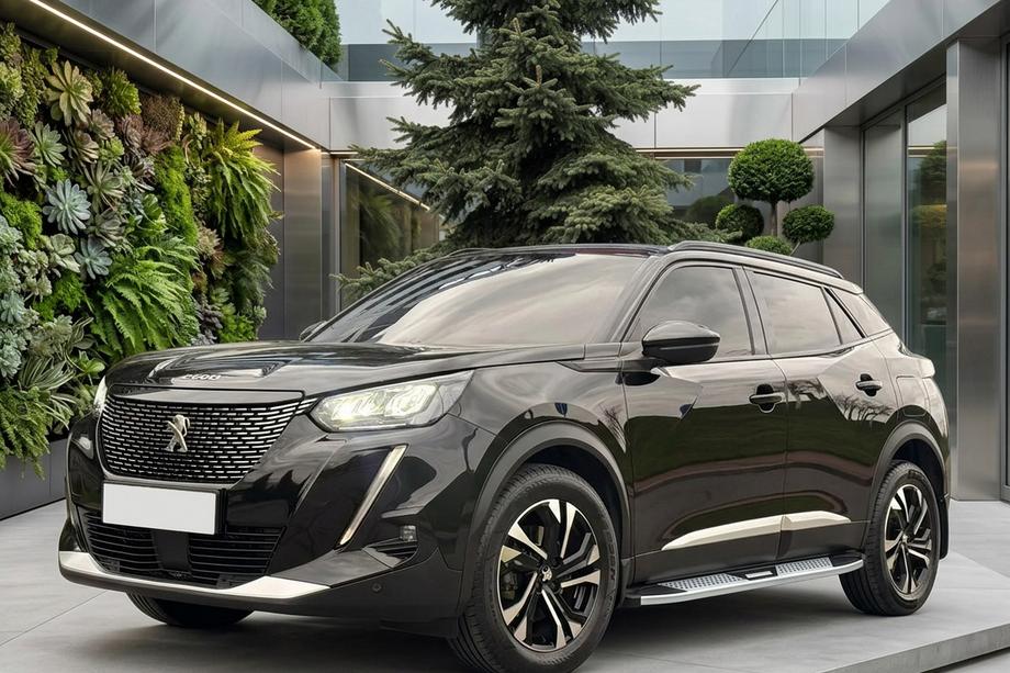 Peugeot 3008 2016–2023 Mevsim Grey side steps (2 stuks, aluminium) Image