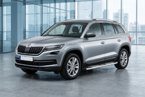 Skoda Kodiaq 2016–2023 Mevsim Grey side steps (2 stuks, aluminium) foto 1