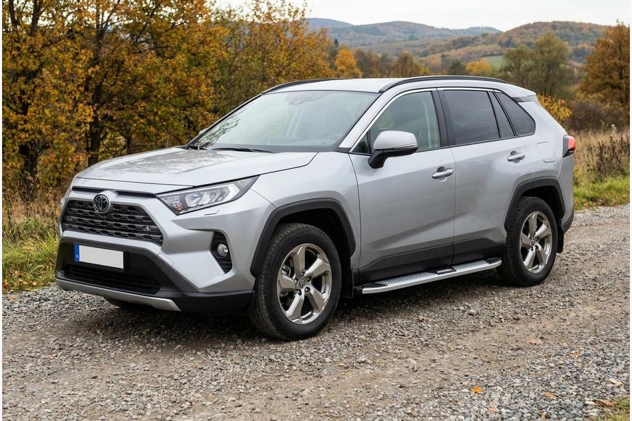 Toyota Rav 4 2019–2025 Mevsim Grey side steps (2 stuks, aluminium) Image