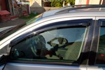 Ford Focus I 1998–2005 Raamdeflectoren SW (4 stuks, HIC) foto 1