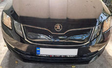 Skoda Octavia III A7 2013–2019 Wintergrille (2017-2020) foto 7