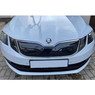 Wintergrille (2017-2020) foto 1
