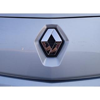 Voorste embleem (128 mm x 105 mm, Turkije) foto 2