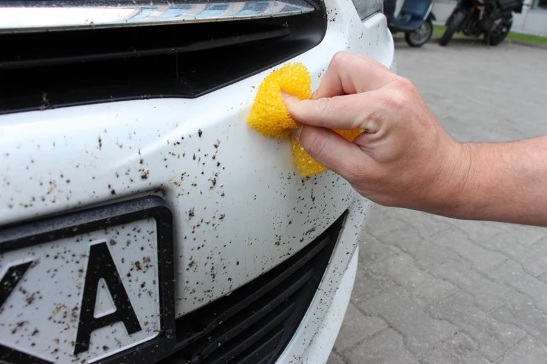 Zo verwijder je vastgekoekte insecten van je auto