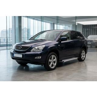 Zijdrempels Vision New Grey (set van 2, aluminium) Lexus RX 2003–2009 foto 1