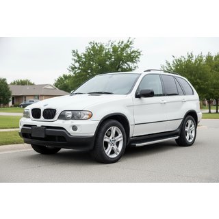 Side steps Fullmond (2 stuks, aluminium) BMW X5 E53 1999–2006 foto 1