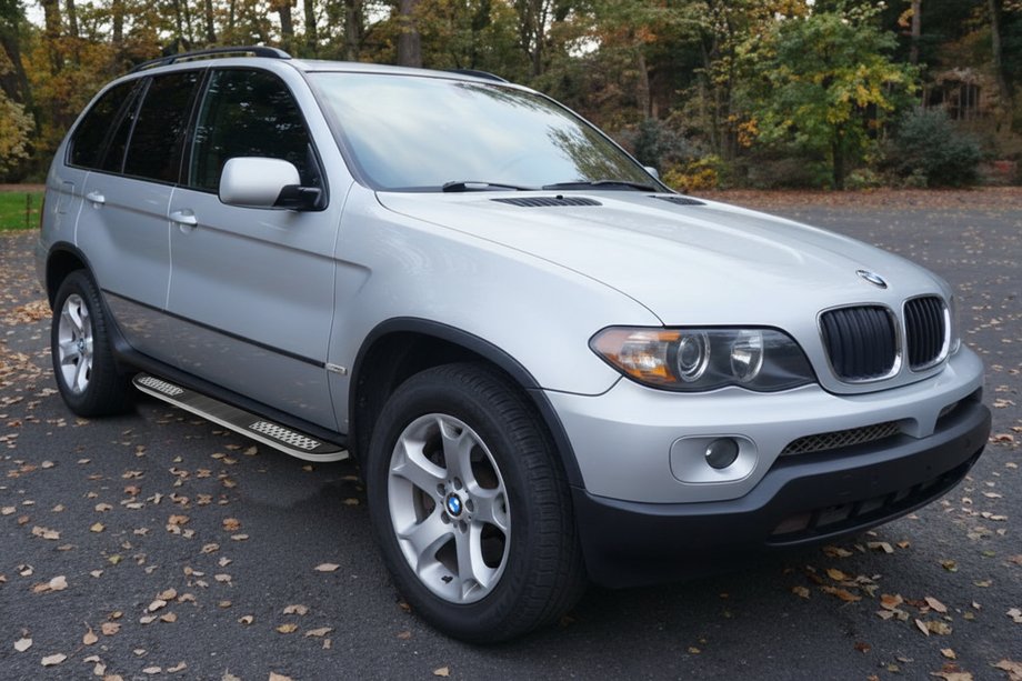 BMW X5 E53 1999–2006 Zijstappen Tayga V2 (2 stuks, aluminium) Image