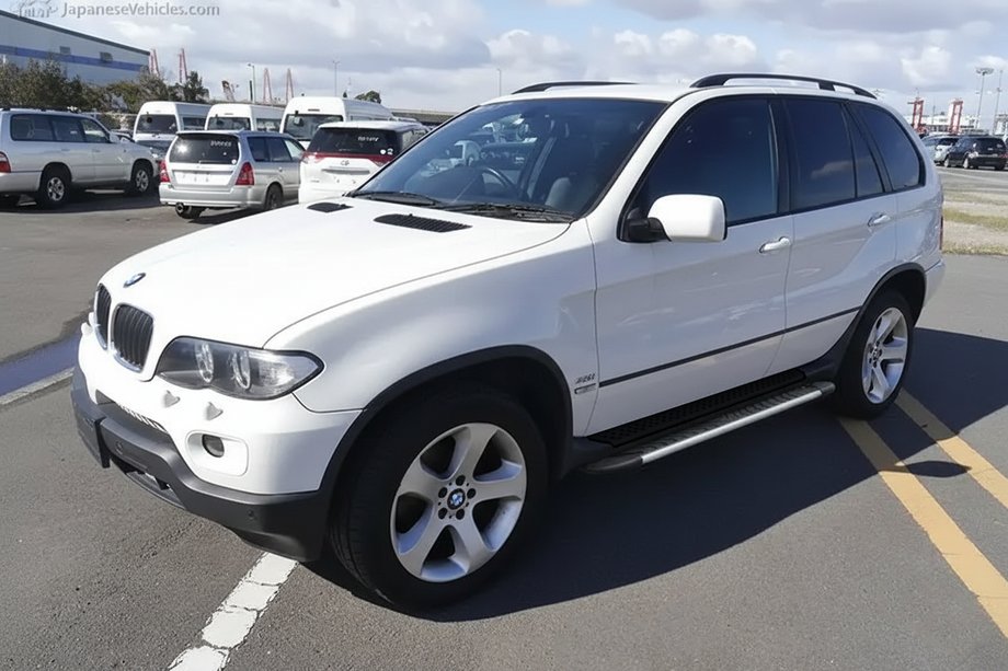 BMW X5 E53 1999–2006 Side steps Bosphorus Grey (2 stuks, aluminium) Image