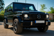 Mercedes G-klasse W463 1990–2018 Voorgrille (GT Panamericana, zonder chroom) foto 3