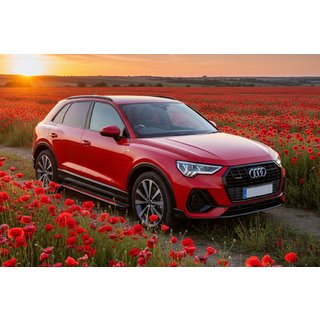 Side steps Maya Red (2 stuks, aluminium) Audi Q3 2019–2025 foto 1