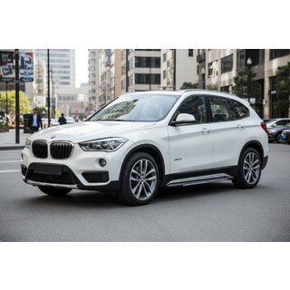 Bosphore Grey zijtreden (set van 2, aluminium) BMW X1 F48 2015–2022 foto 1