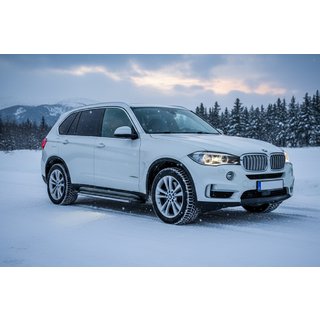Rainbow zijtreden (set van 2, aluminium) BMW X5 F15 2013–2018 foto 1
