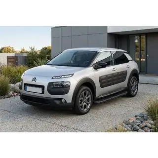 Tayga Black zijtreden (set van 2, aluminium) foto 1