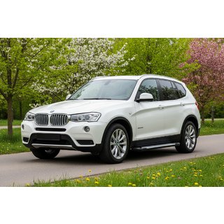 Side steps Allmond Grey (set van 2, aluminium) BMW X3 F25 2011–2018 foto 1