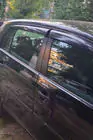 Volkswagen Golf 5 2003–2009 Raamwindschermen HB (set 4 stuks, Sunplex Sport) foto 8