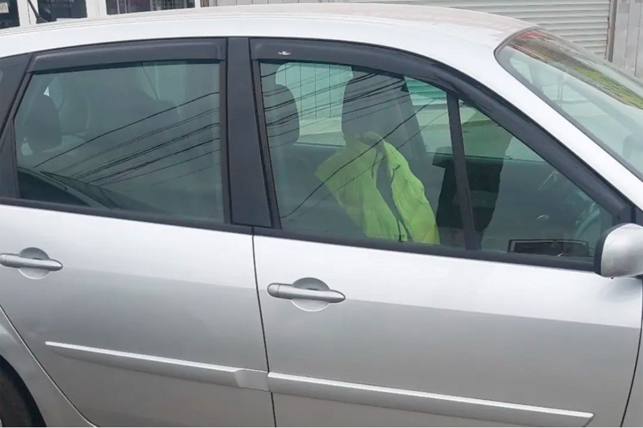 Renault Scenic/Grand 2003–2009 Raamdeflectoren (4 stuks, HIC) Image