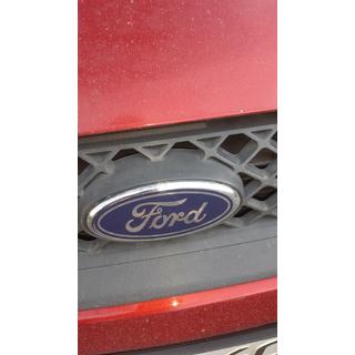 Voorembleem (clipbevestiging) Ford Fiesta 2002–2008 foto 4
