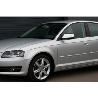 Spiegelkappen 2010-2012 (set 2 stuks, RVS) Audi A3 2003–2012 foto 3