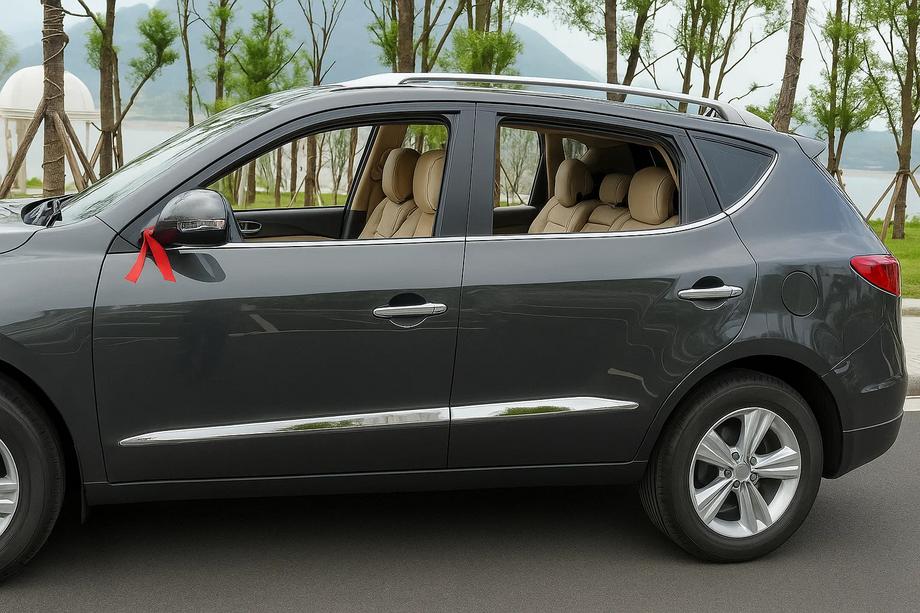 Geely Emgrand X7 2011– Libao deurlijsten (set van 4, kunststof) Image
