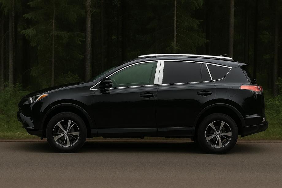 Toyota Rav 4 2013–2018 Complete raamomlijsting (set) Image