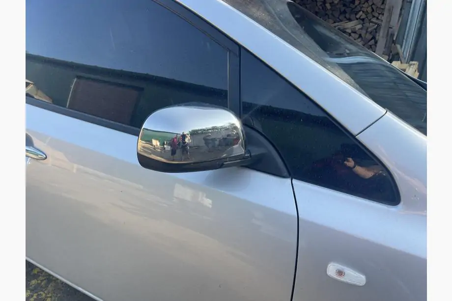 Nissan Leaf 2010–2017 Spiegelkappen (2 stuks, RVS) Image