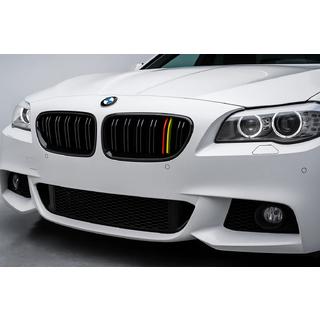 Nierroosters M-Look (German Color) BMW 5 Serie F10/F11 2010–2016 foto 1