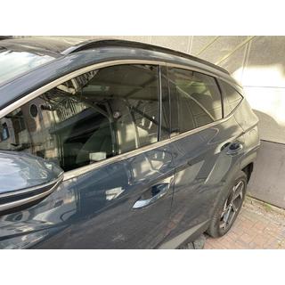 Onderste raamlijsten (6 stuks, RVS) Hyundai Tucson NX4 2021– foto 3