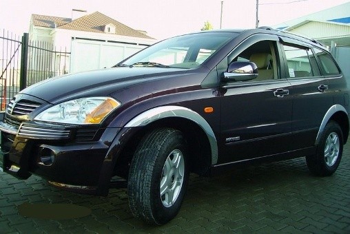 Verchroomde wielkastlijsten Rexton